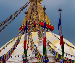 Nepal Trek with Chitwan National Park Safari and Pokhara